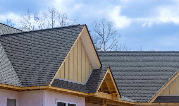 Best Green or Eco-Friendly Roofing Solutions  in Hampden Sydney, VA