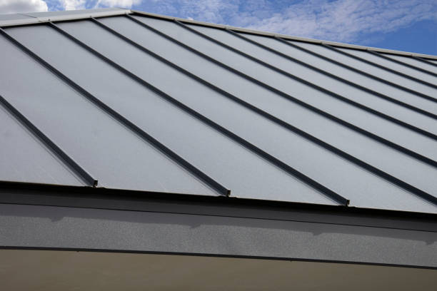 Best Steel Roofing  in Hampden Sydney, VA